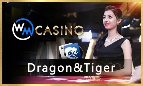 JL MM50 Sports Betting